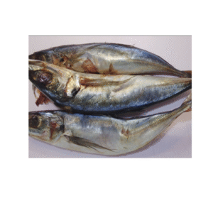 Kote Fish (1kg)