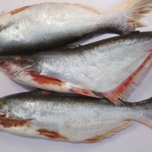 Fresh frozen Basa fish sold by Stressfree Foods Ltd in Ajah, Lagos