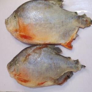 Fresh frozen Owere fish sold by Stressfree Foods Ltd in Ajah, Lag